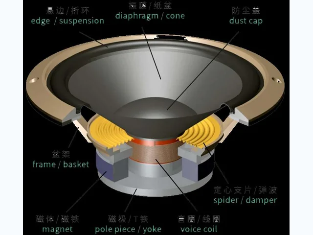 Diaphragm and component support