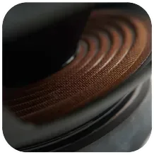 QT0015205